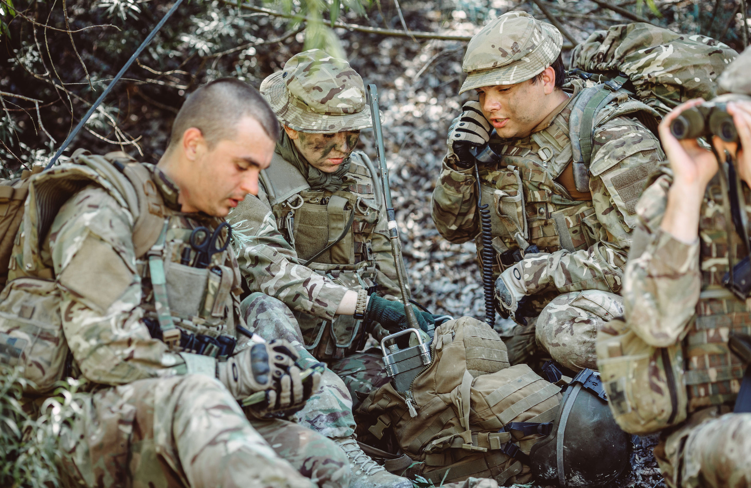 Shutterstock 453737959